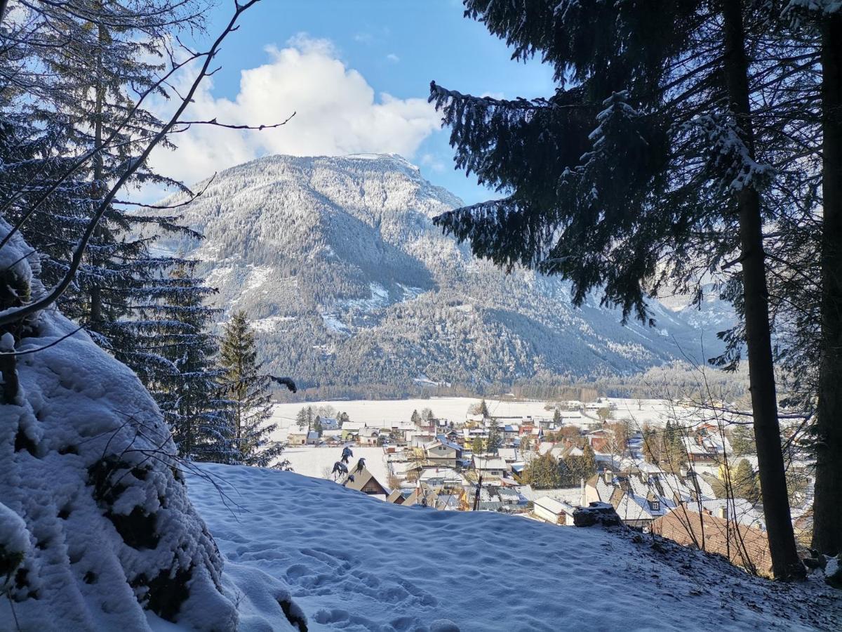 Oberort Haus Bergblick Fruehstueckspension מראה חיצוני תמונה