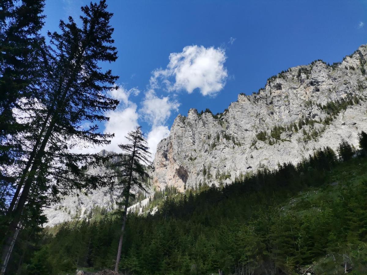 Oberort Haus Bergblick Fruehstueckspension מראה חיצוני תמונה