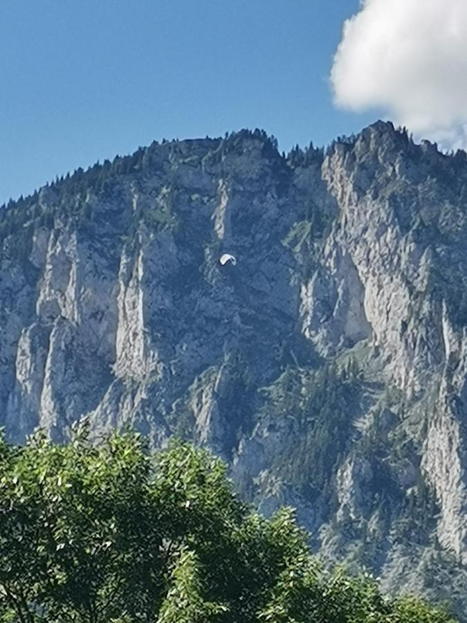Oberort Haus Bergblick Fruehstueckspension מראה חיצוני תמונה