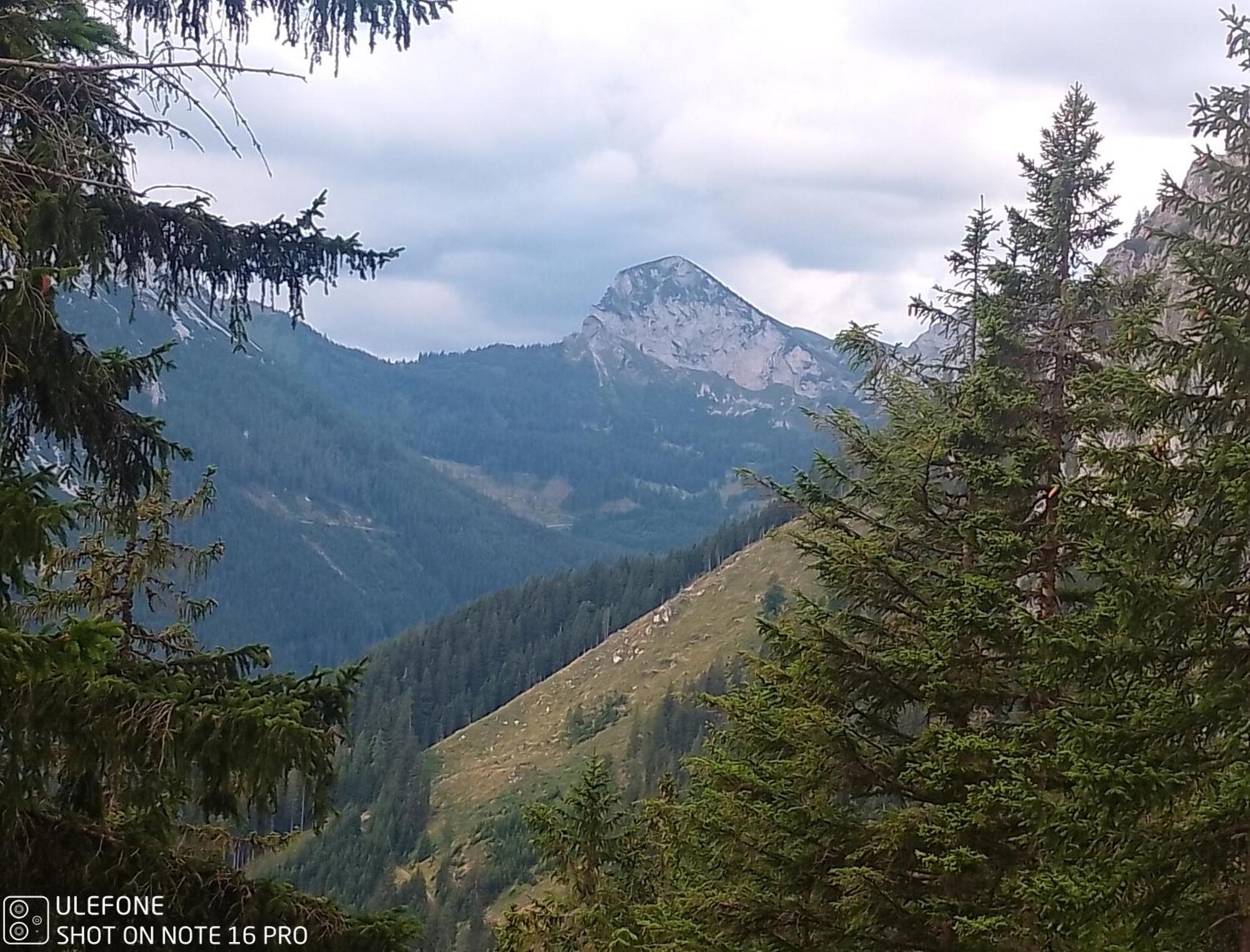 Oberort Haus Bergblick Fruehstueckspension מראה חיצוני תמונה