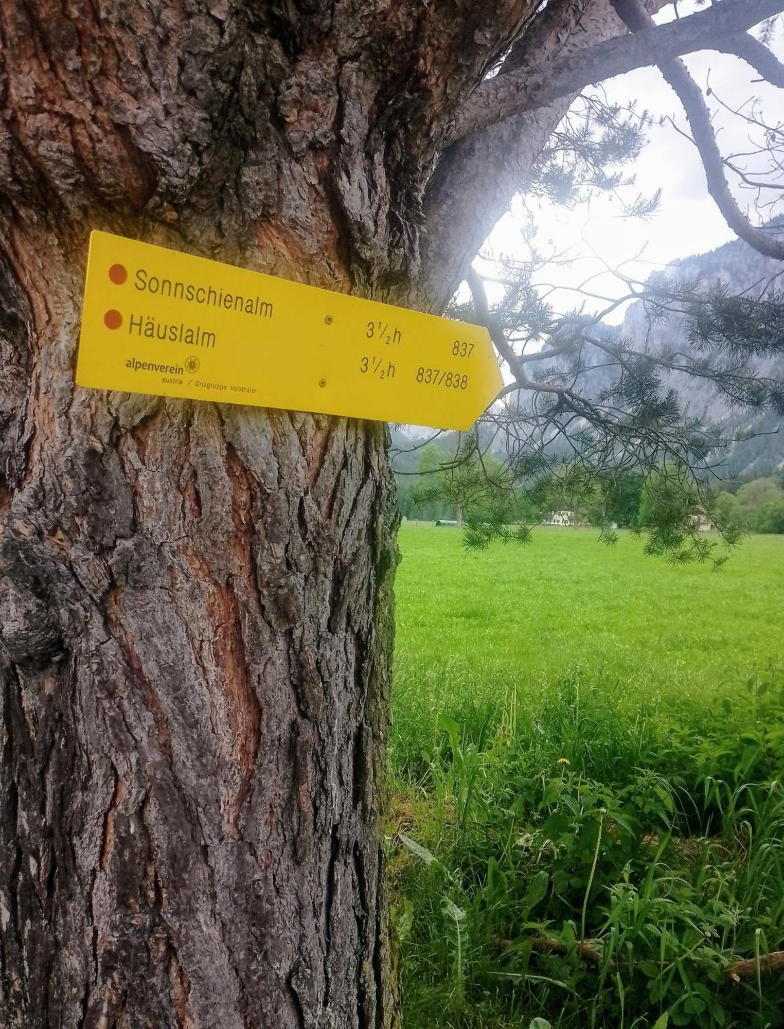 Oberort Haus Bergblick Fruehstueckspension מראה חיצוני תמונה