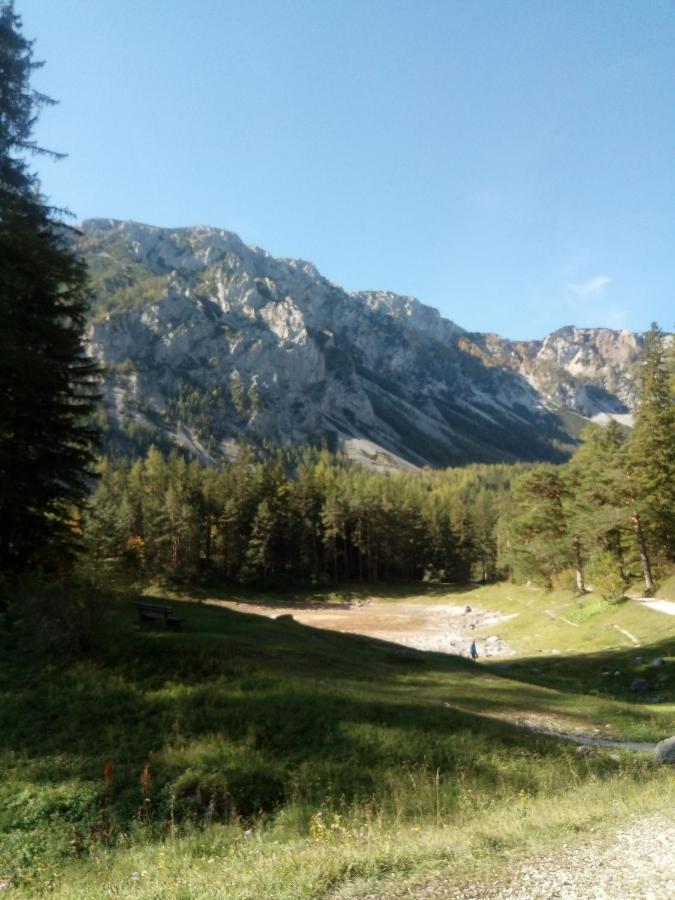 Oberort Haus Bergblick Fruehstueckspension מראה חיצוני תמונה